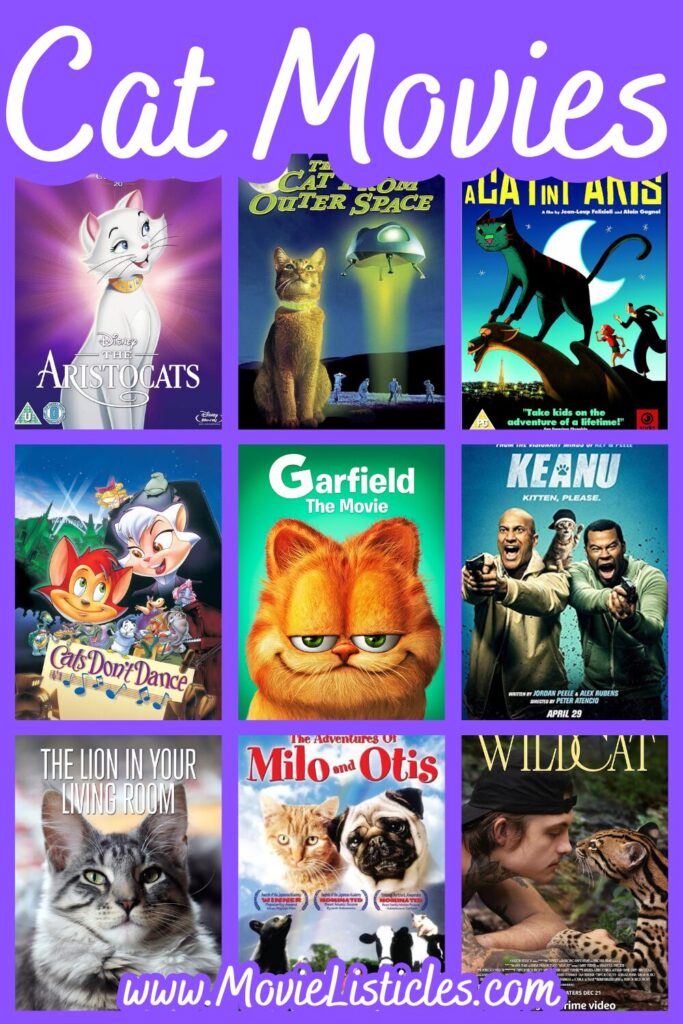 cat movies for cat lovers